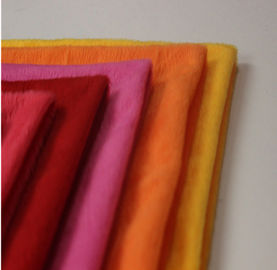 Superior quality polyester FDY plush warm knit fabric 170gsm~250gsm 28s/32s